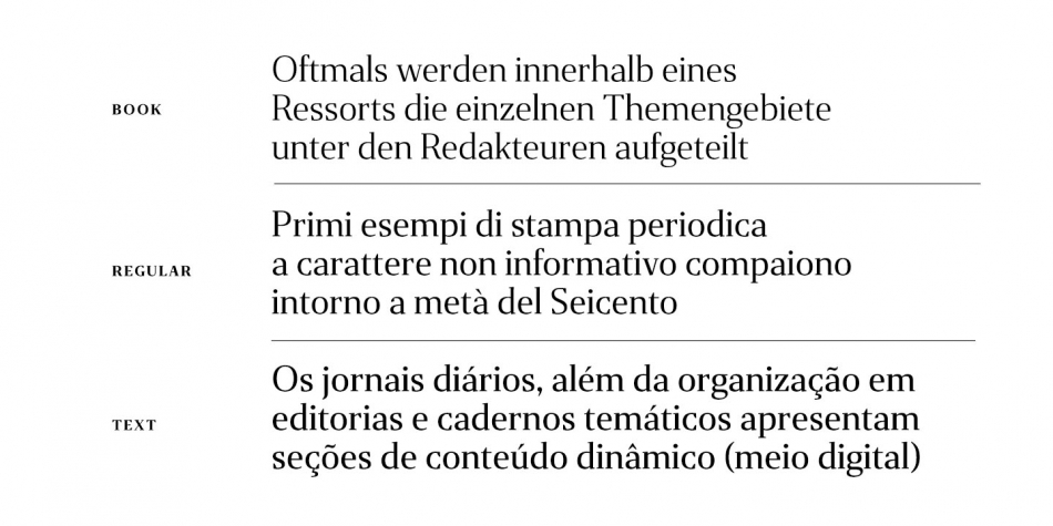 Пример шрифта Gazeta Italic